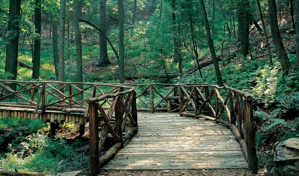 electric bike trail in nature