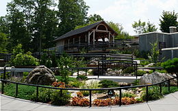 NC Arboretum is a covid friendly activity in Asheville